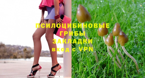 винт Аркадак