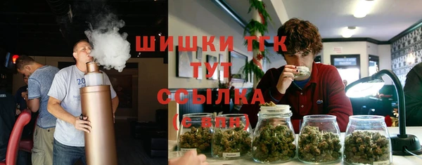 стаф Армянск